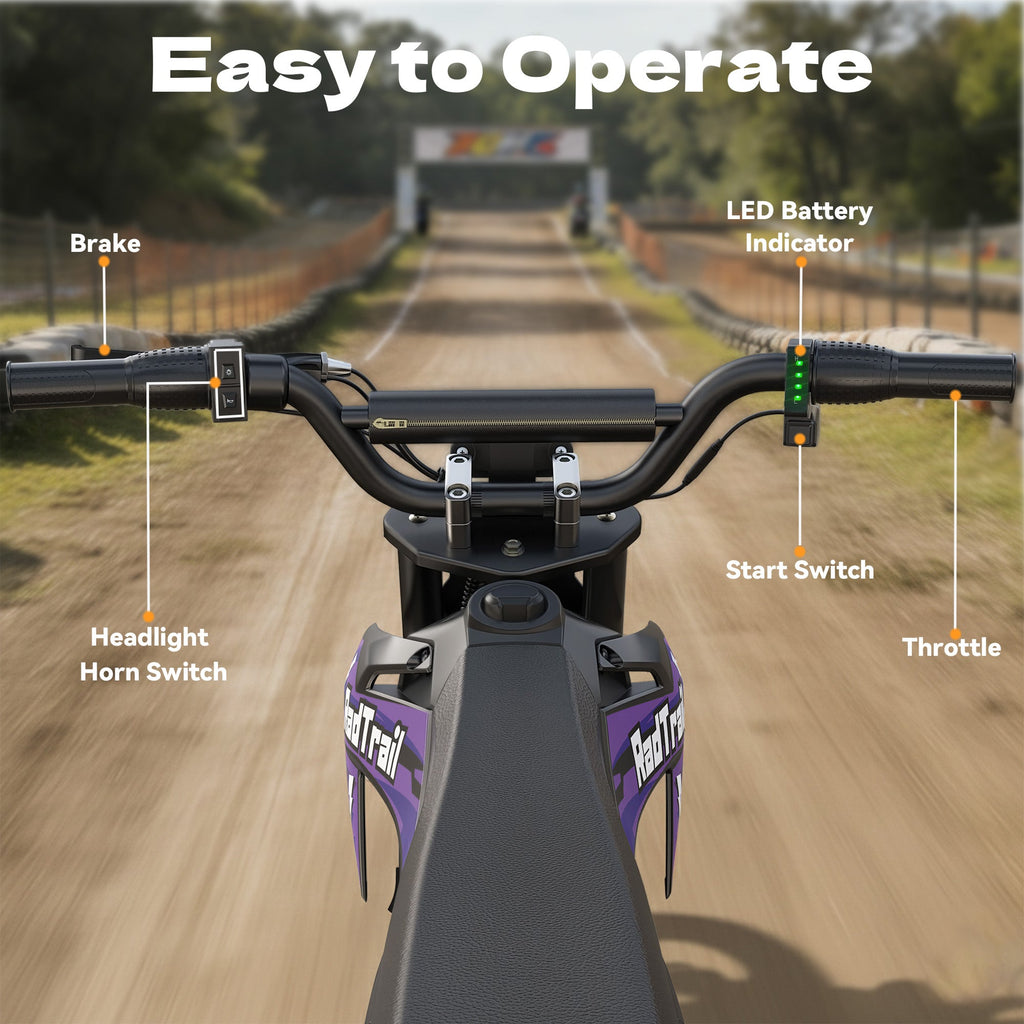 36V 12" Kids Electric Dirt Bike