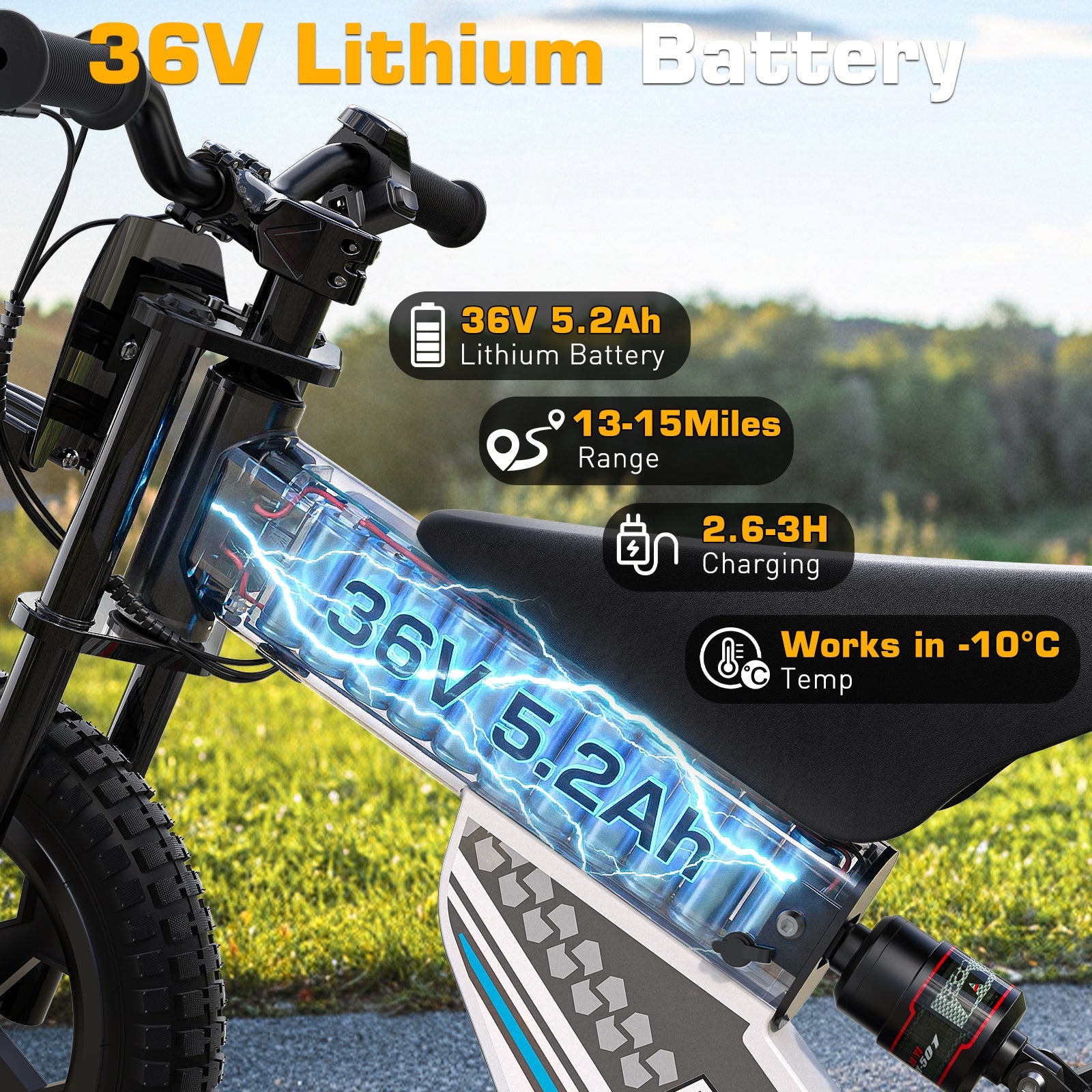 36V 14" Kids Electric Dirt Bike