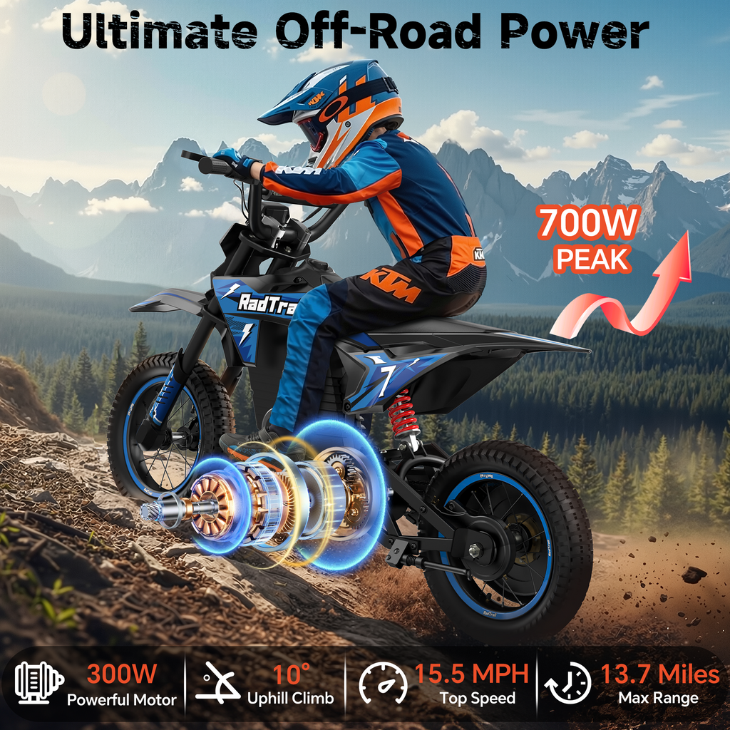 36V 12" Kids Electric Dirt Bike