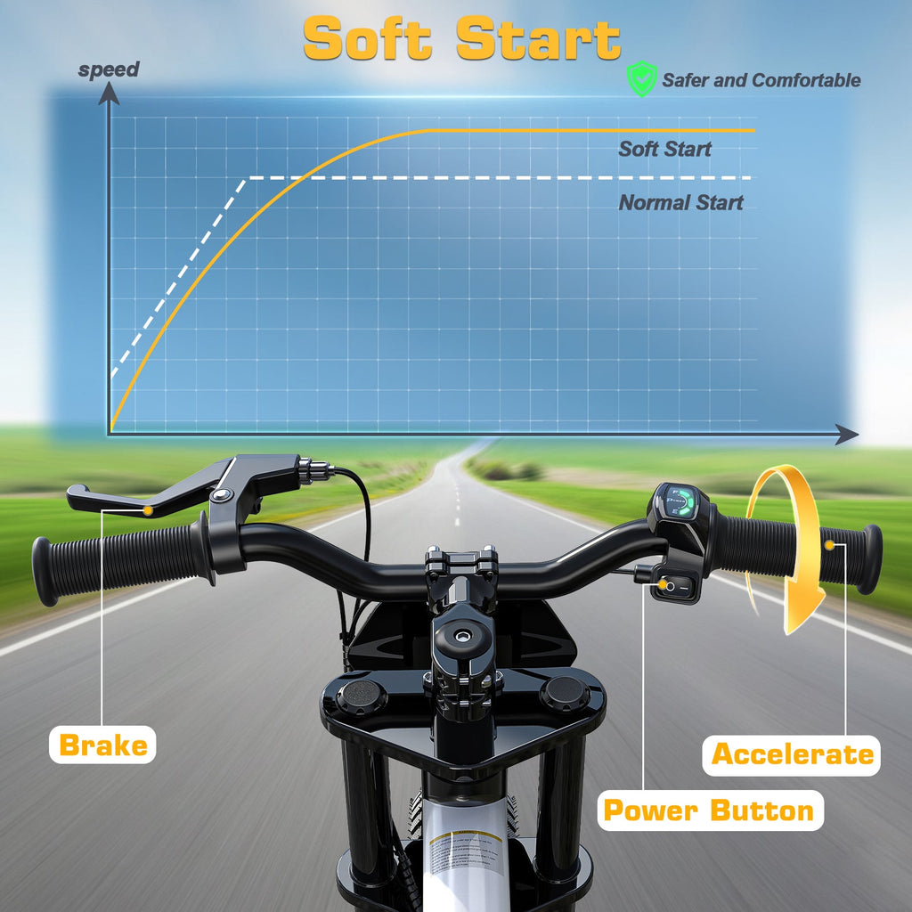36V 14" Kids Electric Dirt Bike