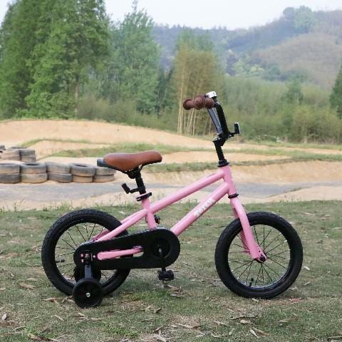 JOYSTAR Totem Kids Bike