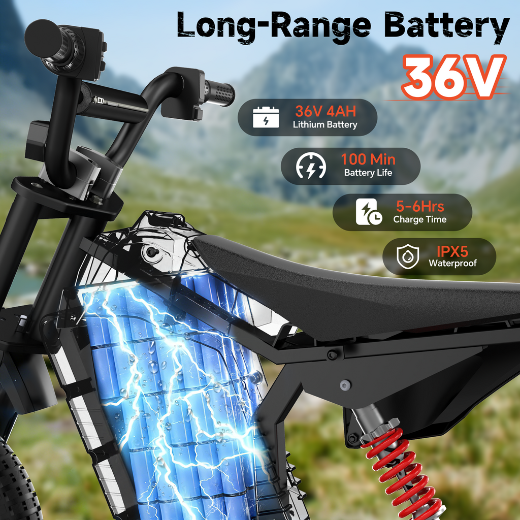 36V 12" Kids Electric Dirt Bike