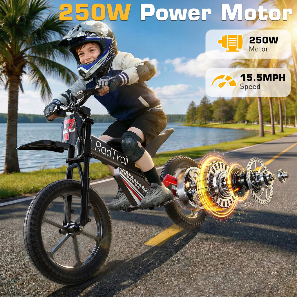 36V 16" Kids Electric Dirt Bike