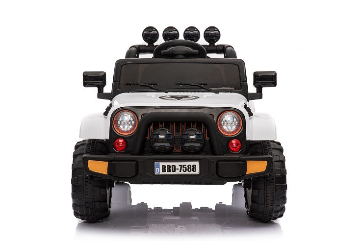 4WD Mudslinger