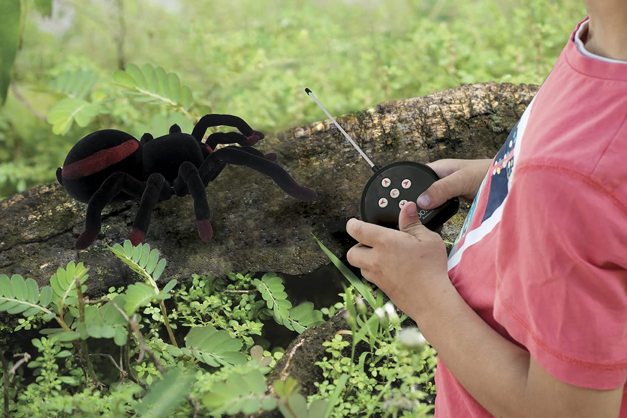 LEXiBOOK Remote Controlled Tarantula Spider, Miniature 9.53x9.84x3.07 inches, Black/Brown, Model SPIDER01, Light-Up Eyes, Plastic