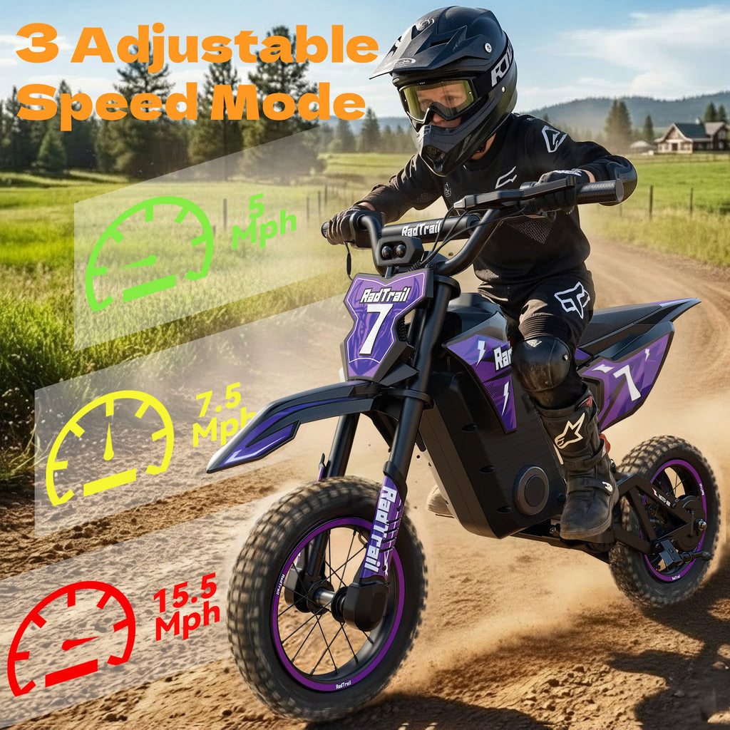 36V 12" Kids Electric Dirt Bike