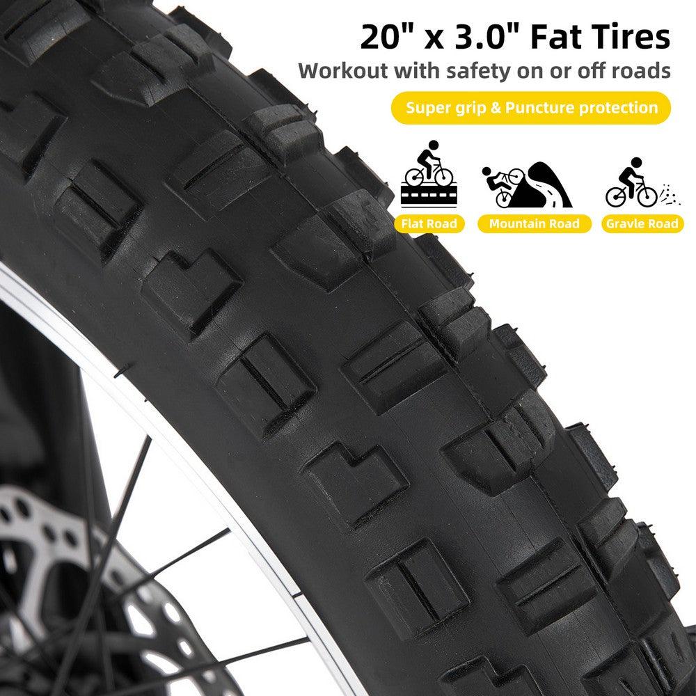 JOYSTAR 20" Fat Tire Kids Mountain Bike