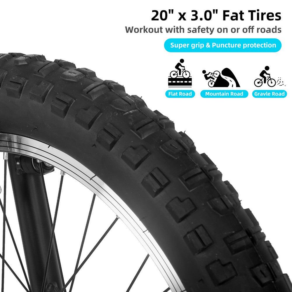 JOYSTAR 20" Fat Tire Kids Mountain Bike