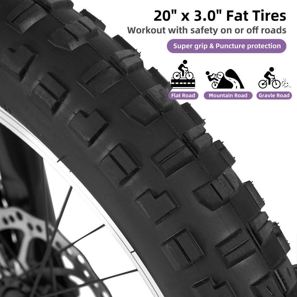 JOYSTAR 20" Fat Tire Kids Mountain Bike