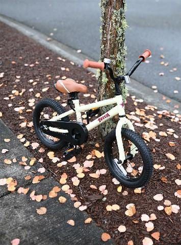 JOYSTAR Totem Kids Bike