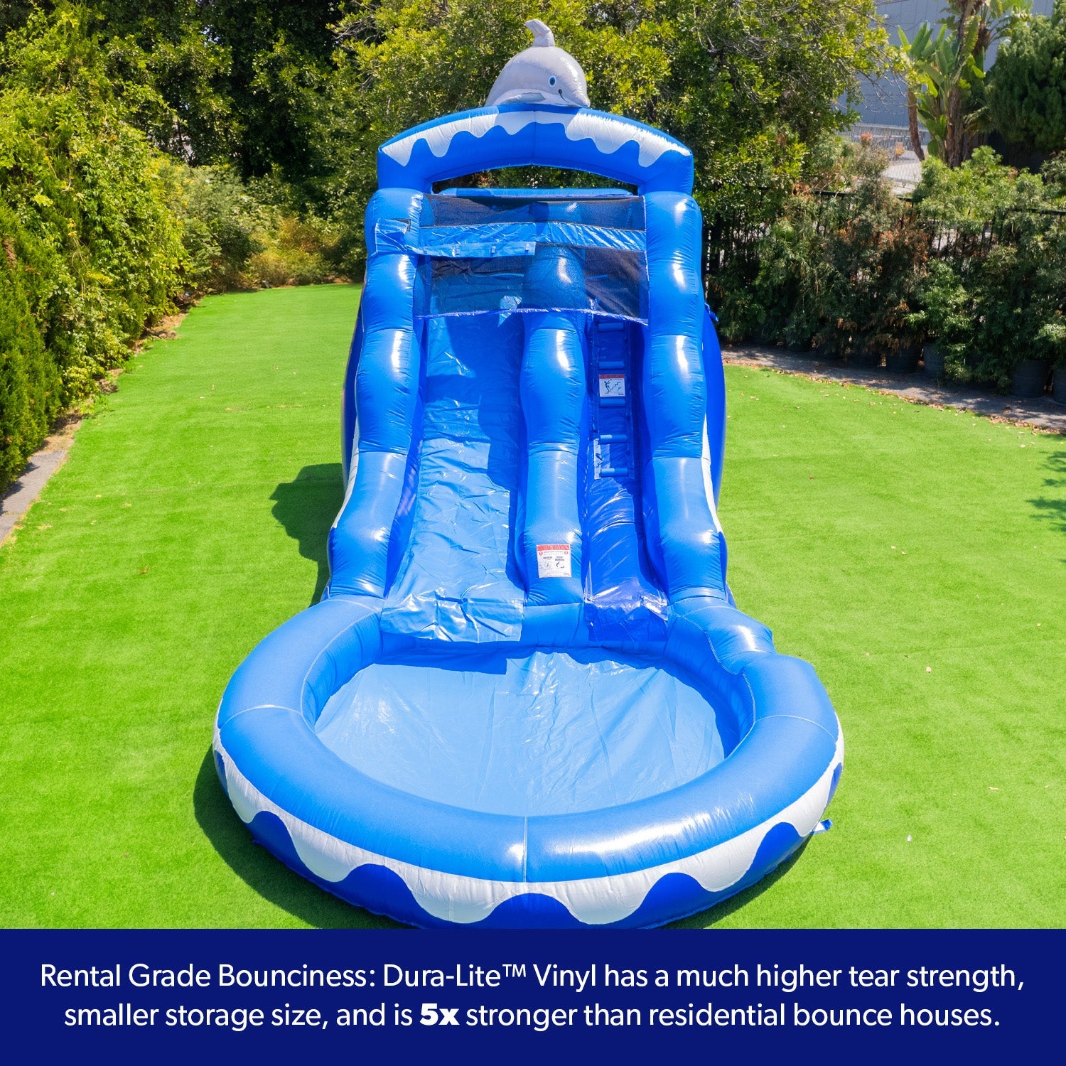 13' Dolphin Water Slide with Pool