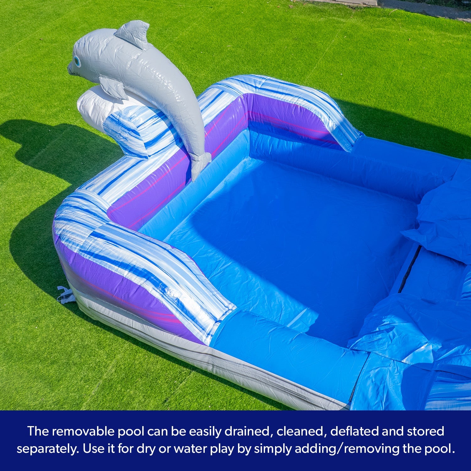 Dolphin 16' Water Slide with detachable pool