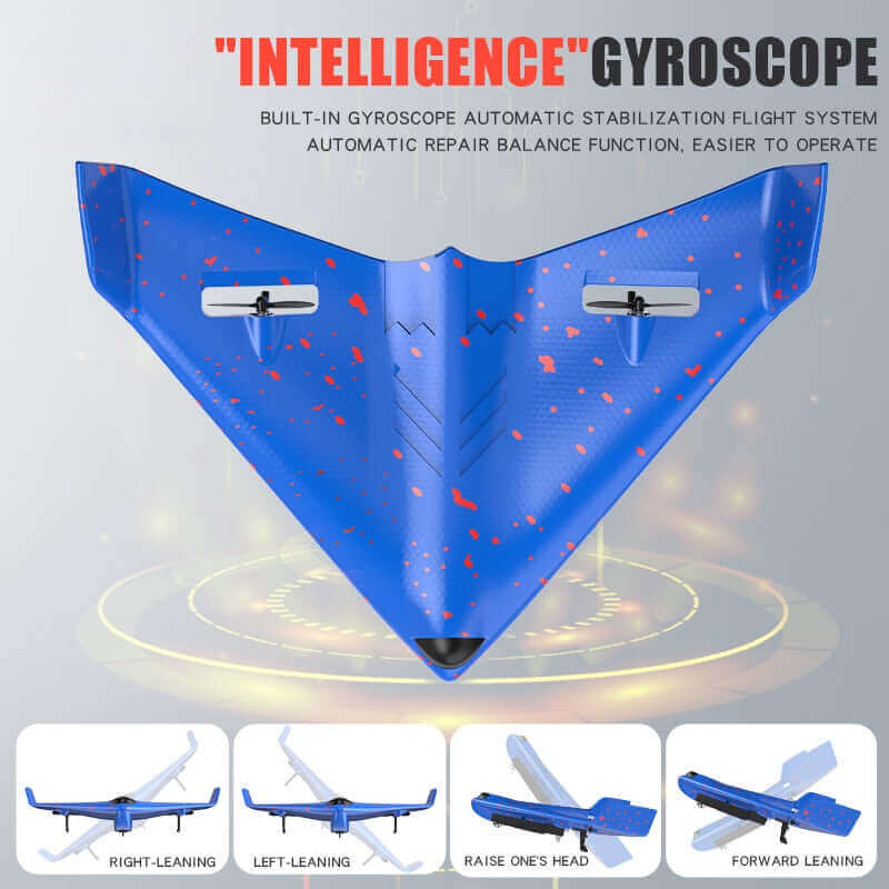 Delta Wing 2.4GHz RC Glider Plane for Outdoor Flying
