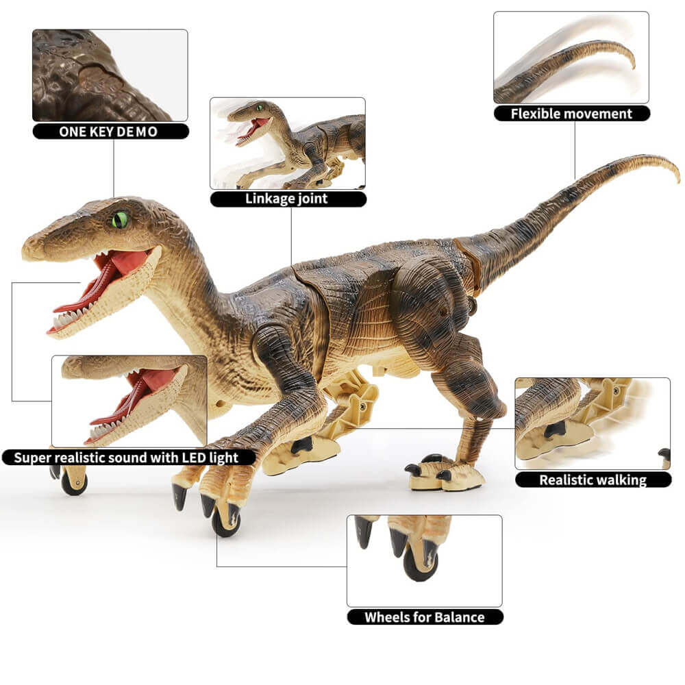 RC Velociraptor Dinosaur Toy with LED Lights & Roaring Sounds